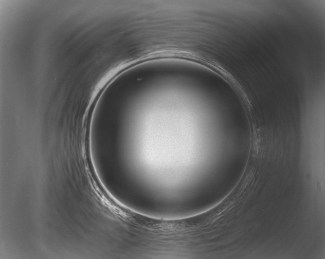 X0000086041102200703301033