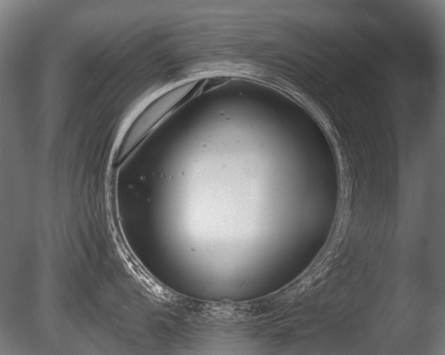 X0000086041104200703301033
