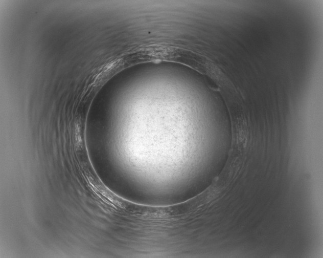 X0000086041106200703301032
