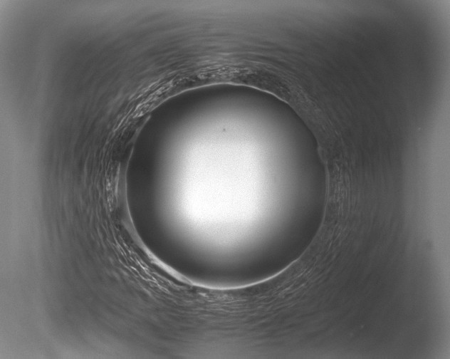 X0000086041109200703301032