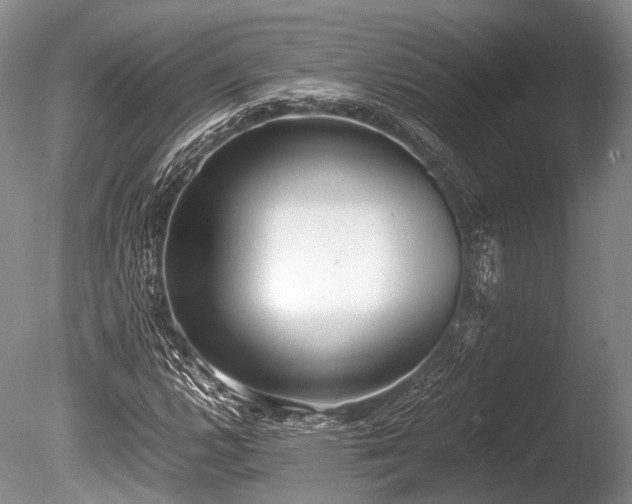X0000086041112200703301032