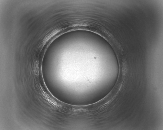 X0000086041113200703301032