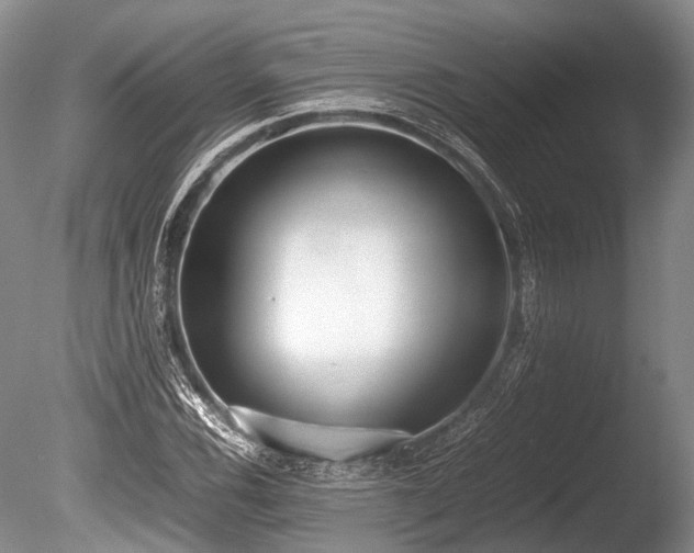 X0000086041116200703301032