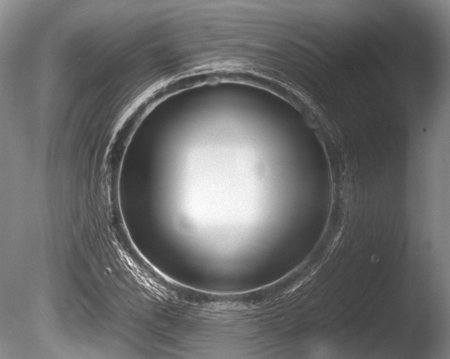 X0000086041118200703301032