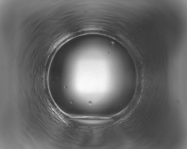 X0000086041121200703301032