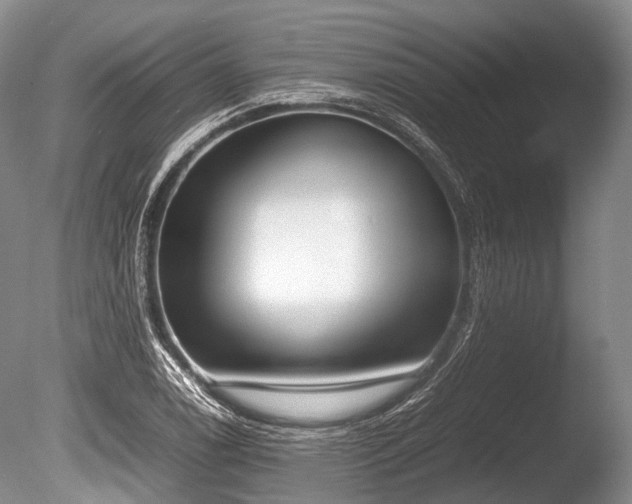 X0000086041122200703301032