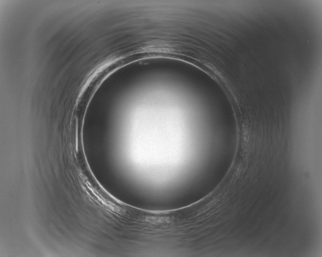 X0000086041123200703301032