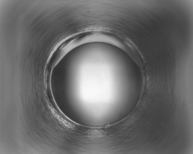 X0000086041124200703301032