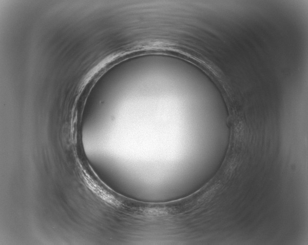 X0000086041126200703301032