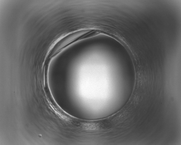 X0000086041127200703301032