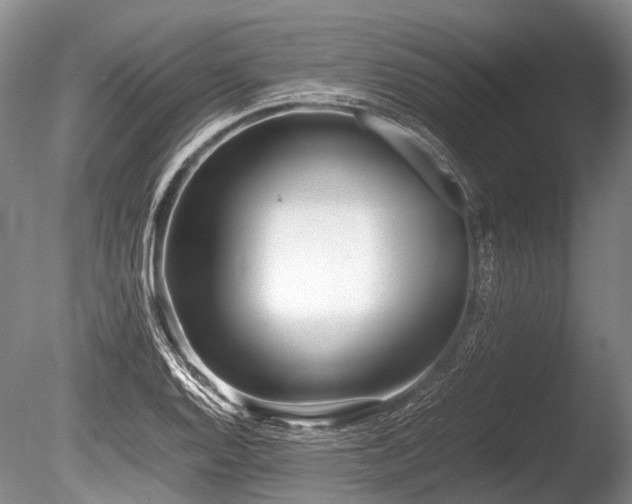 X0000086041128200703301032