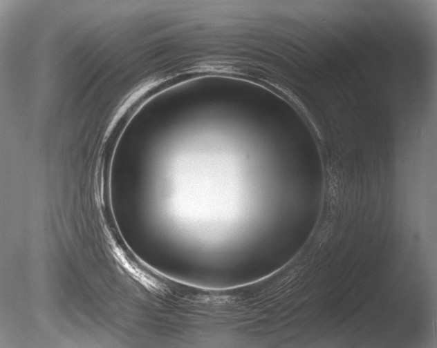 X0000086041131200703301032