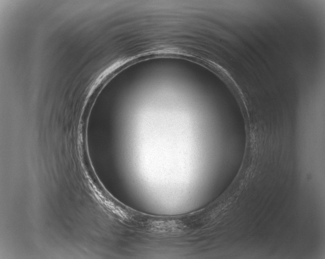 X0000086041133200703301032