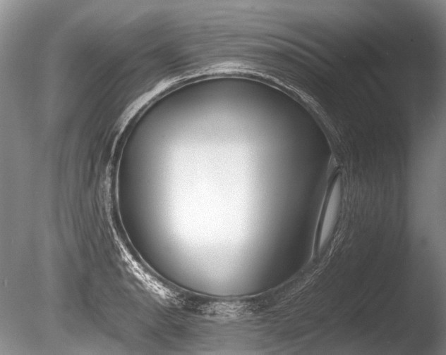 X0000086041134200703301032