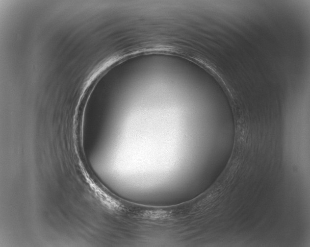 X0000086041135200703301032