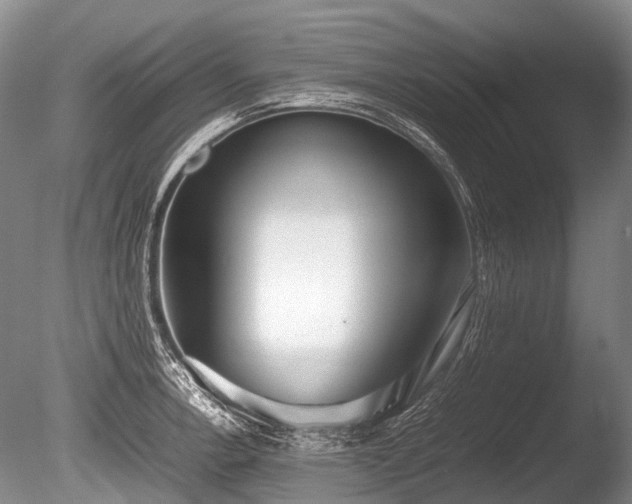 X0000086041138200703301032
