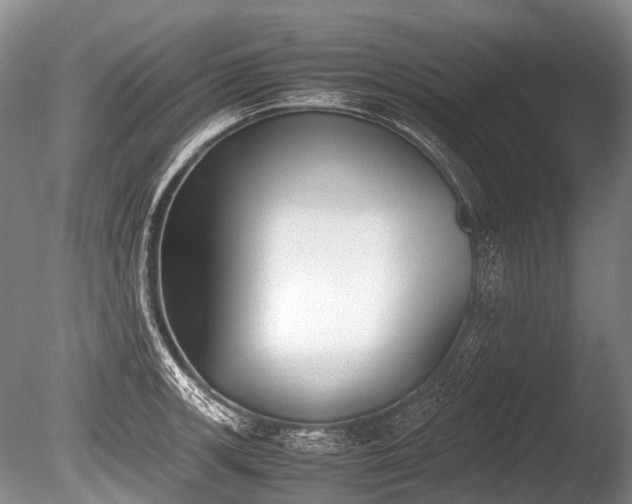X0000086041139200703301032