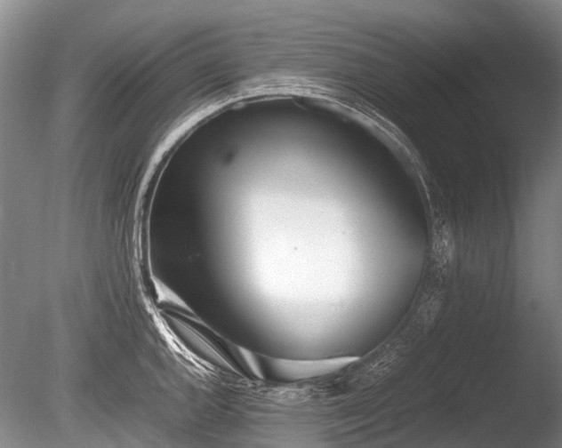 X0000086041144200703301032