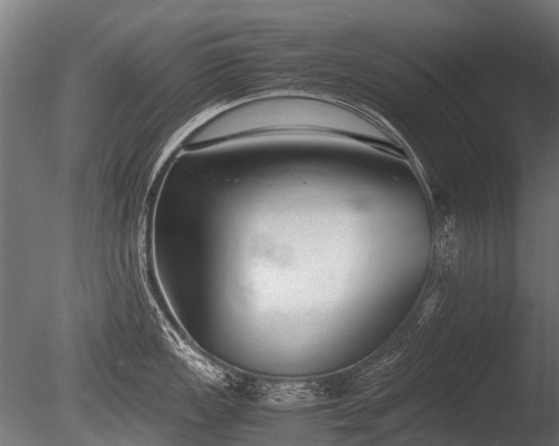 X0000086041149200703301032