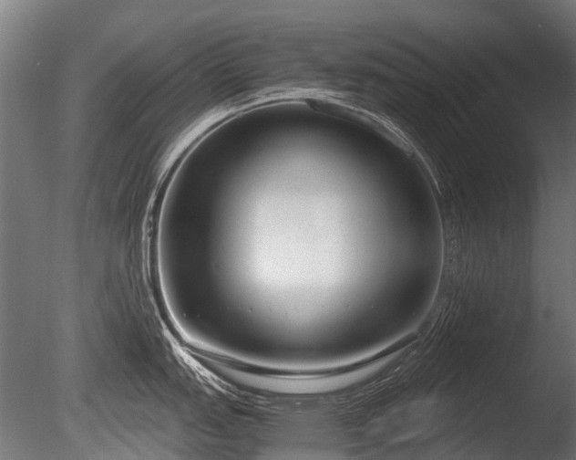 X0000086041151200703301033