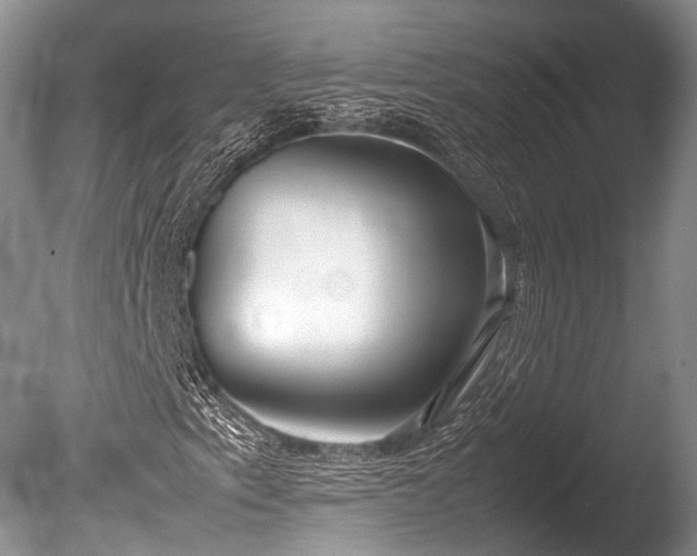 X0000086041153200703301032