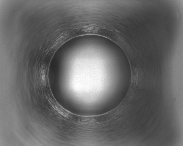 X0000086041154200703301032