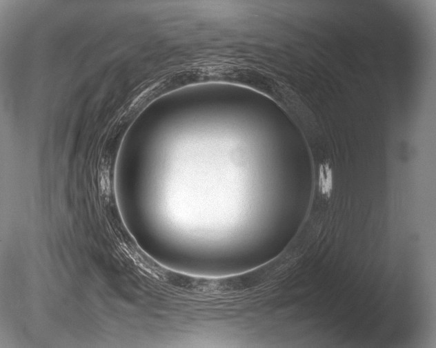 X0000086041155200703301032