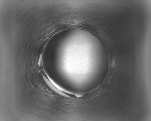 X0000086041156200703301032