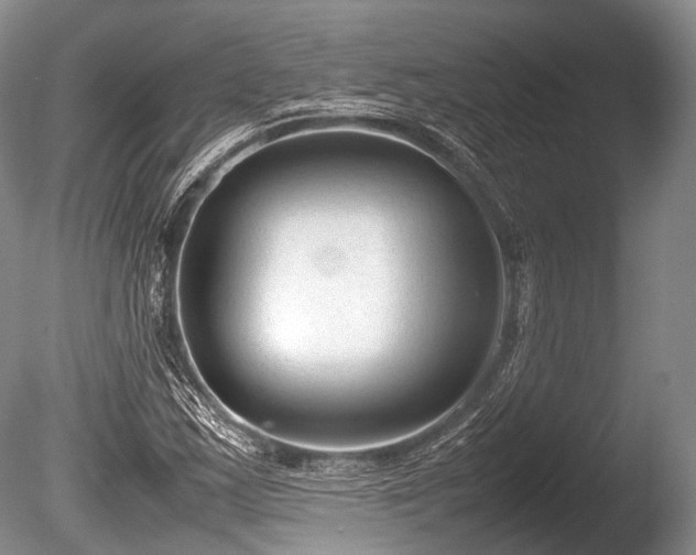 X0000086041163200703301032