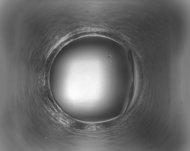 X0000086041165200703301032