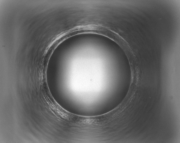 X0000086041166200703301031