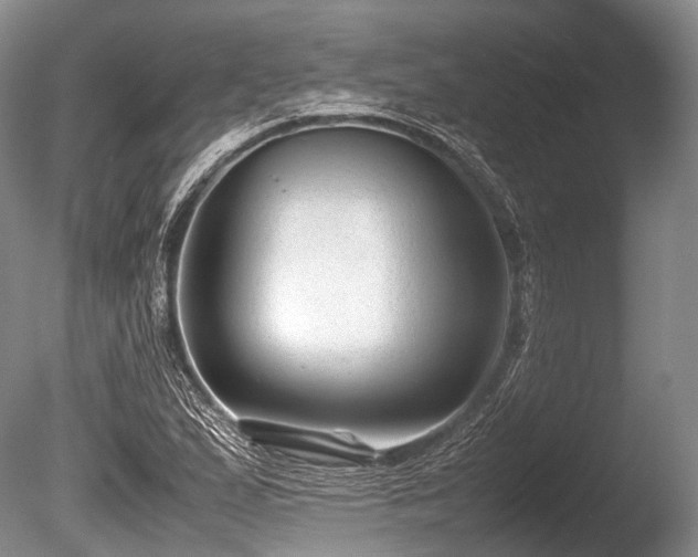 X0000086041167200703301031