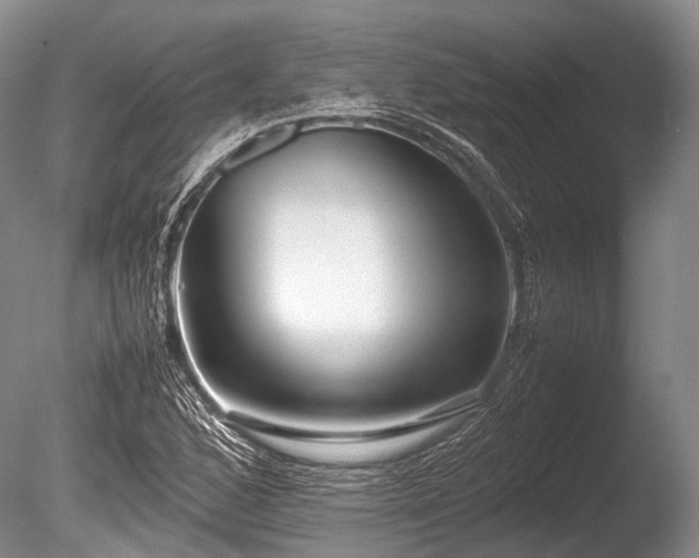 X0000086041168200703301031
