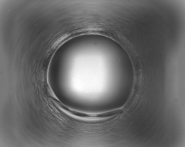 X0000086041169200703301031
