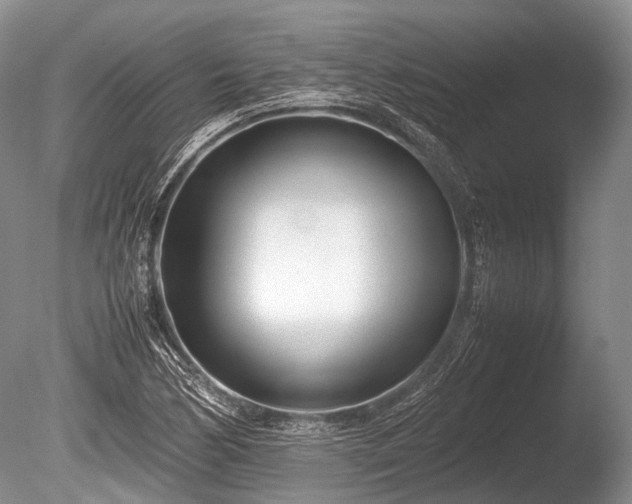 X0000086041170200703301031