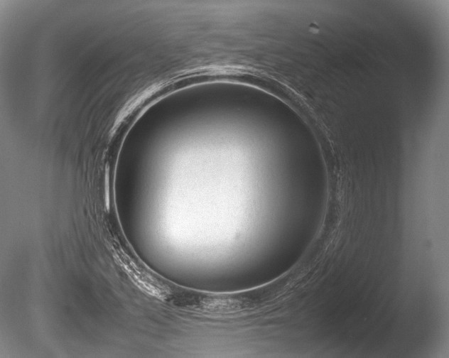 X0000086041171200703301031