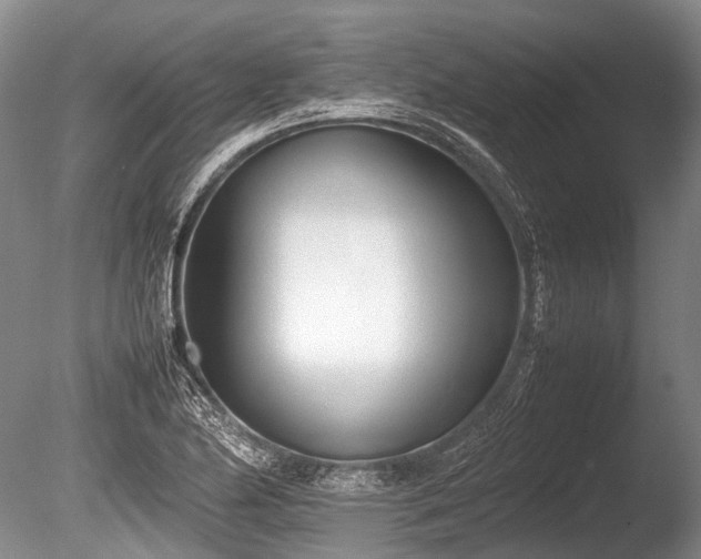 X0000086041174200703301031