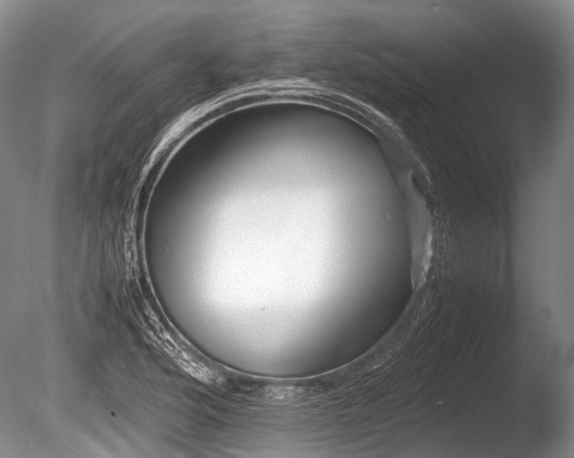X0000086041176200703301031