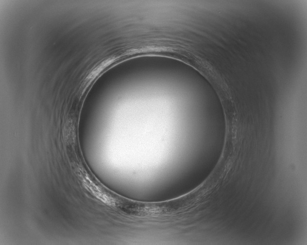 X0000086041177200703301031