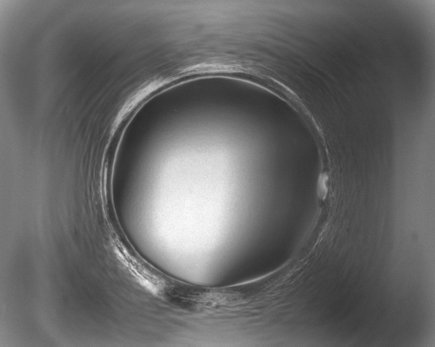 X0000086041179200703301031