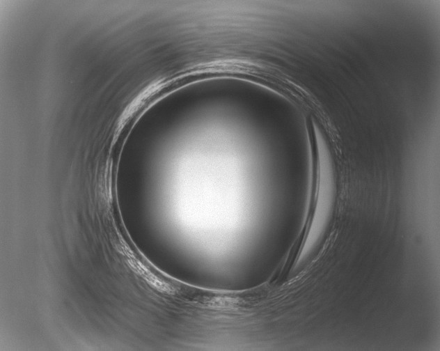 X0000086041180200703301031
