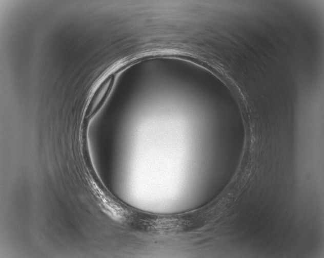 X0000086041181200703301031