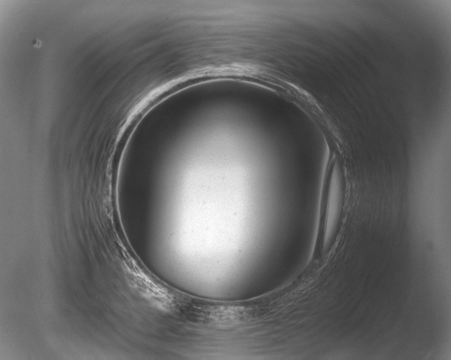 X0000086041184200703301031