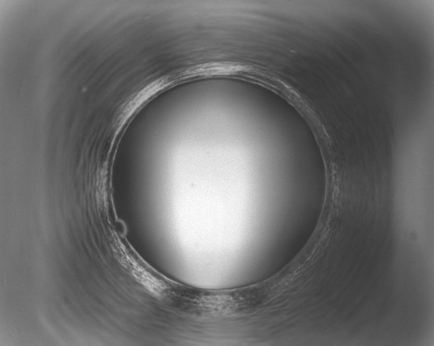 X0000086041186200703301031