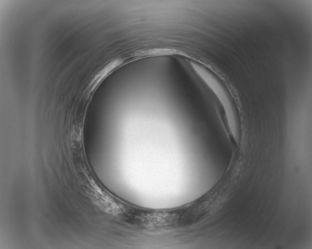 X0000086041193200703301031