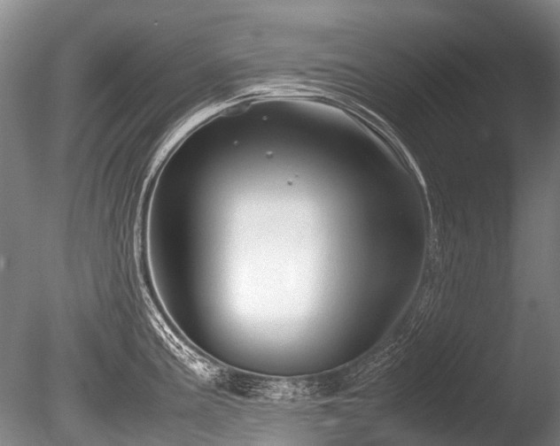 X0000086041195200703301031