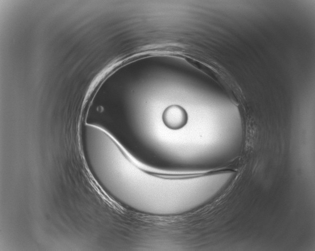 X0000086041196200703301031