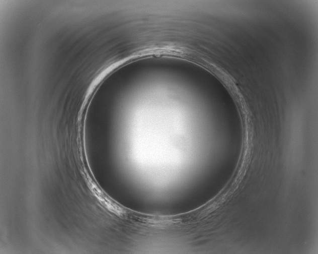 X0000086041200200703301031
