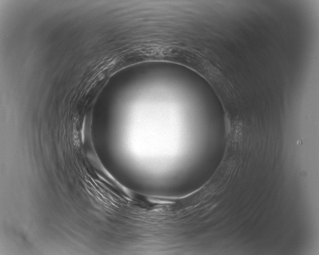 X0000086041202200703301030