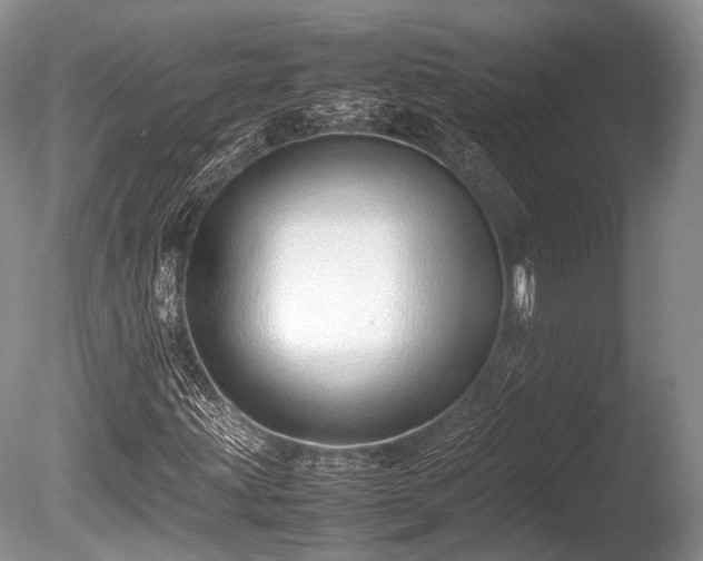 X0000086041203200703301030